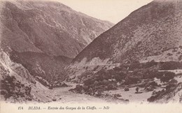 ALGERIE.- BLIDA - Entrée Des Gorges De La Chiffa. - ND N° 174 - Blida
