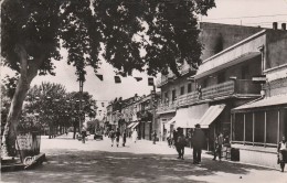 TEBESSA - Le Cours Carnot Un Jour De Fête - Tebessa