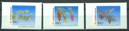 180 FINLANDE 2002 - Yvert 1560/62 Adhésif - Arbre Pomme De Pin Pive - Neuf ** (MNH) Sans Trace De Charniere - Unused Stamps