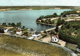 JOUE SUR ERDRE-VUE AERIENNE-ETANG DE VIOREAU - Nort Sur Erdre