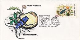 INSECTS, ROSALIA LONGGICORN BEETLE, SPECIAL COVER, 1993, ROMANIA - Other