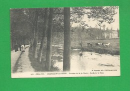 CP 0144 CHATILLON SUR SEINE Promenade De La Douix Bords De Seine Troupeau De Chevaux - Chatillon Sur Seine