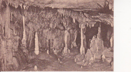 AK Iserlohn - Dechenhöhle - Säulenhalle, Henne Und Hund  (25661) - Iserlohn