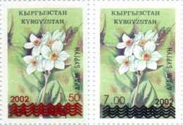 Kyrgyzstan 2002, Overprint Of New Value, PROOF, 2v, Retired From Circulation - Kyrgyzstan