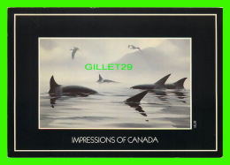 IMPRESSIONS OF CANADA - MASTERS OF THE INLET BY BRUCE MUIR  No 9431 - DIMENSION 12 X 17 Cm - - Cartes Modernes