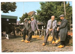 PURMEREND, Noord Holland, Nederland : Koemarkt / Marché Aux Vaches Cow Market, Animée, TTB !!!!!! - Purmerend