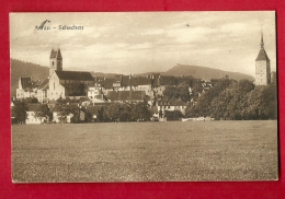 FIW-20  Aarau  Schachen. Gelaufen In 1920 - Aarau