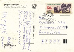 L0653 - Czechoslovakia (1982) 512 43 Jablonec Nad Jizerou (postcard: Krkonose Mountains) Tariff: 50 H (stamp: ZOO Praha) - Gorilas