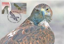 ISRAEL (2009) - Carte Maximum Card - ATM AMIEL - Hieraaetus Fasciatus / Bonelli's Eagle / Aquila Fasciata / Aigle - Tarjetas – Máxima