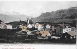 PARPAN → Ein Kleines Dorf Vor über 100 Jahren, Lichtdruck Ca.1910 - Parpan