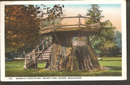 Tacoma. Wright Park. Mammoth Cedar Stump-From Tacoma To Holland With Postage Due T 10/Centimes - Tacoma