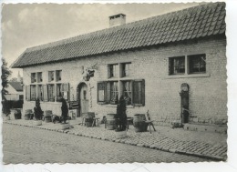 Belgique : L'Auberge Historique Le Bivouac (Lion De Wterloo - Braine L'Alleud) - Braine-l'Alleud