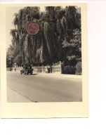 $3-4855 GERMANIA SALZBERGER SALICE PIANGENTE AUTO EPOCA FOTO ANNI ' 30 - Collezioni E Lotti