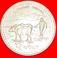 § EVEREST, BULLS: NEPAL ★ 2 RUPEES 2063 (2006)! LOW START★ NO RESERVE! Birendra (1971-2001) - Nepal