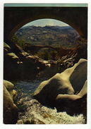 Cpm N° 10/1268 LA CORSE Oasis De Beauté Au Creux Du Maquis Parfois Une Rivière Dorée Et La Découverte D'un Vieux Pont - Provence-Alpes-Côte D'Azur