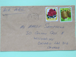 New Zealand 1984 Cover To Canada - Flower Rose Kiwi Fruit - Lettres & Documents