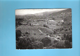 CP 11 CAPENDU COTEAUX DE L ALARIC VIGNOBLES DES CORBIERES VUE SUR LES VIGNES - Capendu