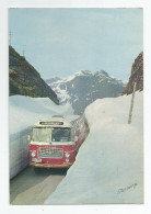 Bus Autocar Norge Norvège Norway Gaularfjell Montain In June Photo Normann - Buses & Coaches