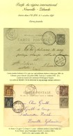 Lot De 2 Cartes Affranchies à 10c. Pour La Nouvelle Zélande (Ahuriri, Palmerston North). - TB. - 1876-1878 Sage (Type I)