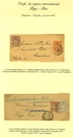Lot De Bandes D'imprimés Affranchis à 5c Pour Les Pays Bas. - TB. - 1876-1878 Sage (Type I)