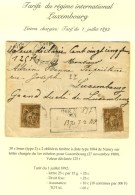 Càd NANCY / MEURTHE ET MOSELLE / N° 80 (2) Sur Lettre Chargée Pour Le Luxembourg (descriptif Au... - 1876-1878 Sage (Type I)