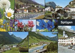 Postauto, Autobus, Bus; Splügen; Alpenblumen - Splügen