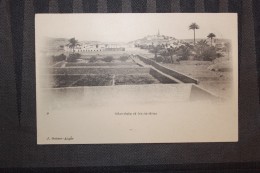 C1  - ALGERIE - GHARDAIA - Et Ses Jardins - Ghardaia