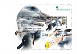 TAAF 2016 Block MNH Albatros Bird Oiseau  Birds Oiseaux - Marine Web-footed Birds