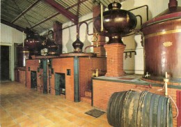 - 17 - ST-PIERRE D'OLERON. - Vue De La Distillerie De L'exploitation FAVRE, VIGNERON. - Scan Verso - - Saint-Pierre-d'Oleron