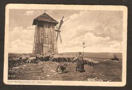 - RARE - TRUPPENÜBUNGSPLATZ  MÜNSINGEN - Moulin à Vent , Berger , Moutons - Münsingen