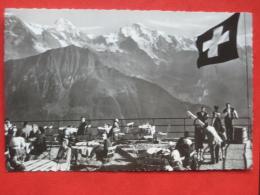 Gündlischwand (BE) - Terrasse Schynige Platte Mönch Jungfrau - Gündlischwand