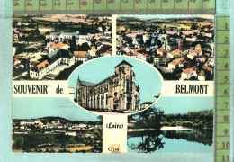 42  BELMONT - Belmont De La Loire