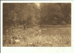 Trazegnies Château Etang Du Petit Bois - Courcelles