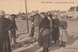 29 ILE-TUDY  -La Vente Du Poisson Sur La Cale    TB GROS PLAN - Ile Tudy