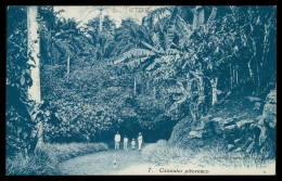 SÃO TOMÉ E PRÍNCIPE - Caminho Pitoresco ( Ed. António Duarte D'Oliveira & C.ª Nº 7)carte Postale - São Tomé Und Príncipe