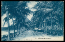 SÃO TOMÉ E PRÍNCIPE- Avenida De Coqueiros  ( Ed. António Duarte D'Oliveira & C.ª Nº 8)carte Postale - Sao Tome And Principe