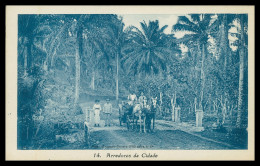 SÃO TOMÉ E PRÍNCIPE - Arredores Da Cidade( Ed. António Duarte D'Oliveira & C.ª Nº 14)carte Postale - Sao Tome And Principe