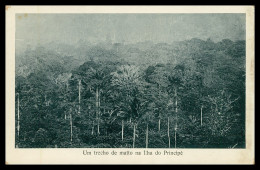 SÃO TOMÉ E PRÍNCIPE - Um Trecho De Matto Na Ilha Do Principe ( Ed. José Teixeira Barboza) Carte Postale - Sao Tome En Principe