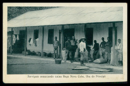 SÃO TOMÉ E PRÍNCIPE - Sevicaes Ensacando Cacau Roça Nova Cuba( Ed. José Teixeira Barboza) Carte Postale - Sao Tome Et Principe