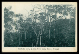 SÃO TOMÉ E PRÍNCIPE - Plantação Nova Da  Roça Nova Cuba( Ed. José Teixeira Barboza) Carte Postale - Sao Tome En Principe