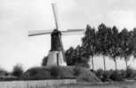 LONDERZEEL (Brab.) - Molen/moulin - Het Merelaantje, Overgebracht Uit Slijpe Bij Middelkerke In 1973. Mooi Zicht! - Londerzeel