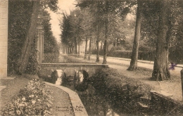 Cappellen / Kapellen : Steenweg Van Putte1920 - Kapellen