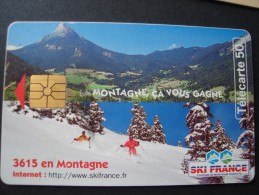 FRANCE USED PHONECARDS SKIERS - Télécartes Holographiques