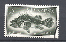 SAHARA SPAGNOLO    1953 Stamp Day FISH - Sahara Espagnol