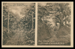 SÃO TOMÉ E PRÍNCIPE - Roça Rio Do Ouro, Roça Ribeira Peixe(Ed. Auspicio Menezes Nº T 9722) Carte Postale - Sao Tome And Principe