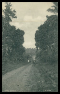 SÃO TOMÉ E PRÍNCIPE  - Uma Estrada (Ed. Governo De S. Tomé E Principe R-S/477/1928) Carte Postale - Sao Tome And Principe