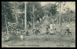 SÃO TOMÉ E PRÍNCIPE - Serviçaes Trabalhando Numa Plantação(Ed. Governo De S. Tomé E Principe R-S/477/1928) Carte Postale - São Tomé Und Príncipe