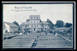 SÃO TOMÉ E PRÍNCIPE  - Roça Santa Cecilia - Seccagem De Cacau Pelo Sol (Ed. "A Ilustradora") Carte Postale - Sao Tome And Principe