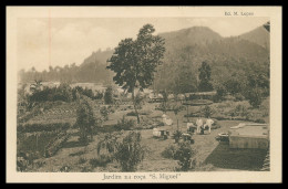 SÃO TOMÉ E PRÍNCIPE - Jardim Da Roça "S. Miguel" (Ed. M. Lopes ) Carte Postale - Sao Tome And Principe