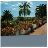 (DEL 254) Flowers - Fleurs - Exotic Garden - Medicinal Plants